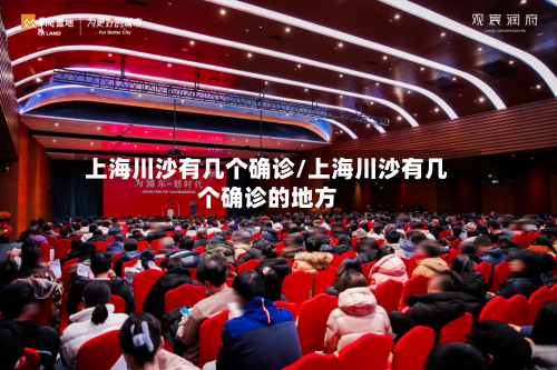 上海川沙有几个确诊/上海川沙有几个确诊的地方