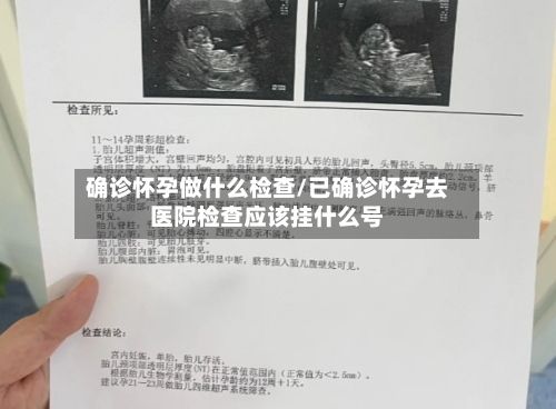 确诊怀孕做什么检查/已确诊怀孕去医院检查应该挂什么号
