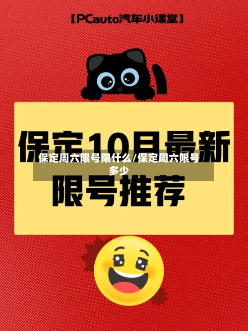保定周六限号限什么/保定周六限号多少