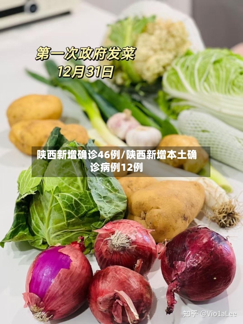 陕西新增确诊46例/陕西新增本土确诊病例12例