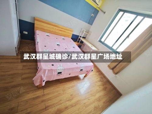 武汉群星城确诊/武汉群星广场地址