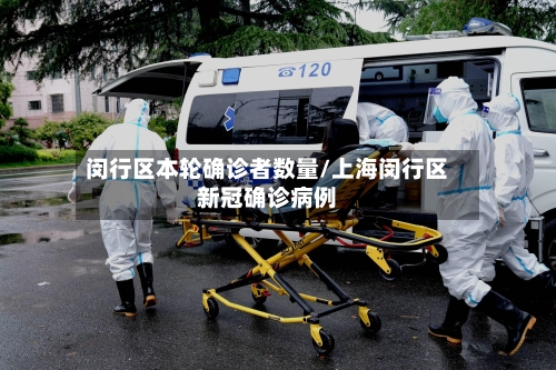 闵行区本轮确诊者数量/上海闵行区新冠确诊病例