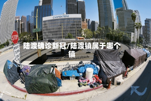 陆渡确诊新冠/陆渡镇属于哪个镇