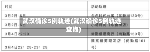 武汉确诊5例轨迹(武汉确诊5例轨迹查询)