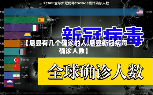 【息县有几个确诊的人,息县新冠病毒确诊人数】