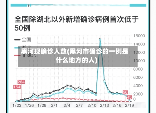 黑河现确诊人数(黑河市确诊的一例是什么地方的人)