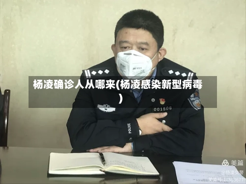 杨凌确诊人从哪来(杨凌感染新型病毒)