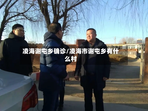 凌海谢屯乡确诊/凌海市谢屯乡有什么村