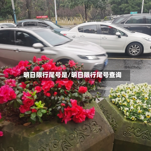 明日限行尾号是/明日限行尾号查询