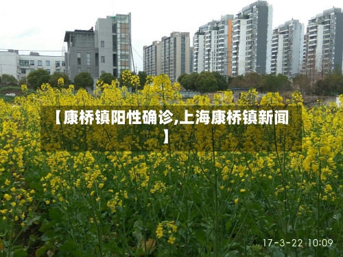 【康桥镇阳性确诊,上海康桥镇新闻】