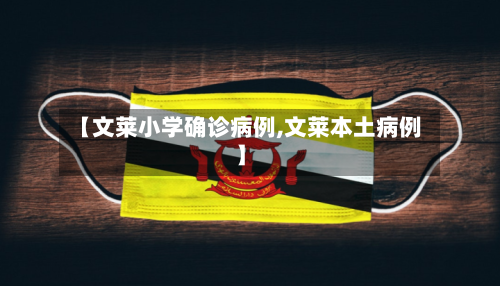 【文莱小学确诊病例,文莱本土病例】