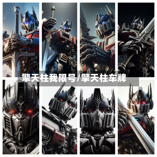 擎天柱我限号/擎天柱车牌