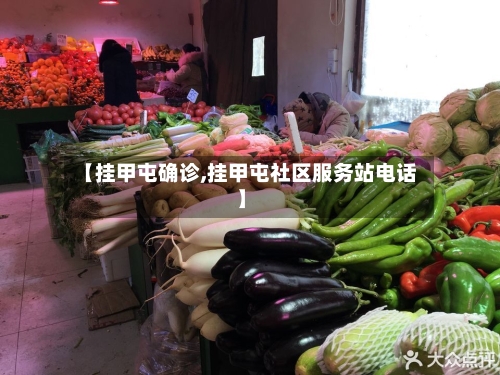 【挂甲屯确诊,挂甲屯社区服务站电话】