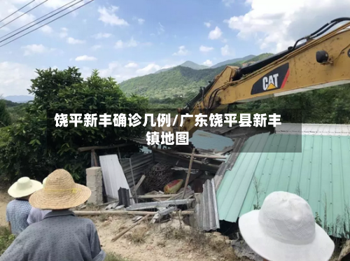 饶平新丰确诊几例/广东饶平县新丰镇地图