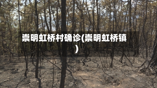 崇明虹桥村确诊(崇明虹桥镇)