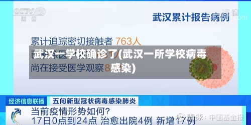 武汉一学校确诊了(武汉一所学校病毒感染)