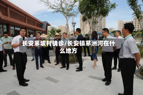 长安茅坡村确诊/长安镇茅洲河在什么地方