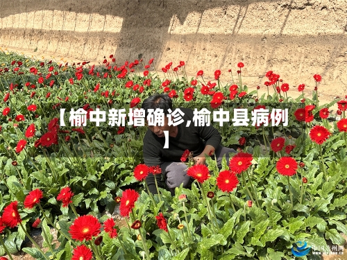 【榆中新增确诊,榆中县病例】