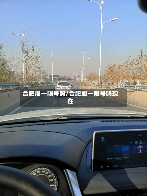 合肥周一限号吗/合肥周一限号吗现在