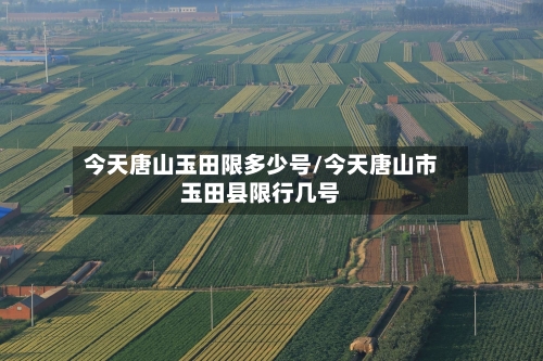今天唐山玉田限多少号/今天唐山市玉田县限行几号
