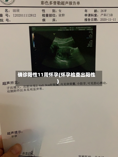 确诊阳性11周怀孕(怀孕检查出阳性)