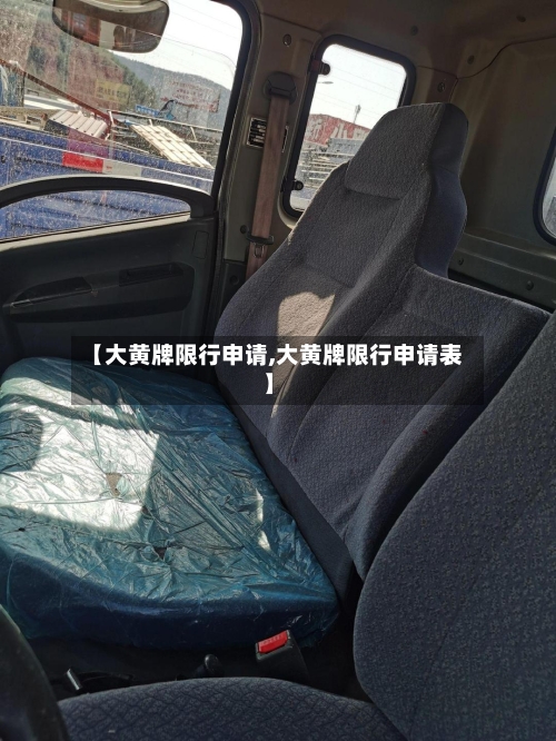 【大黄牌限行申请,大黄牌限行申请表】