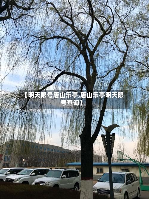 【明天限号唐山乐亭,唐山乐亭明天限号查询】