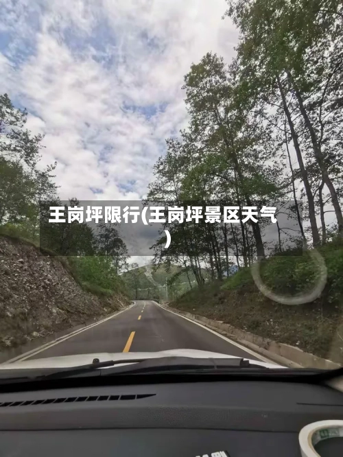 王岗坪限行(王岗坪景区天气)