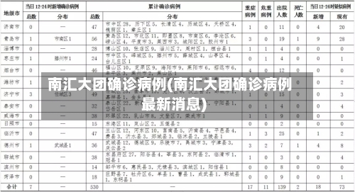 南汇大团确诊病例(南汇大团确诊病例最新消息)