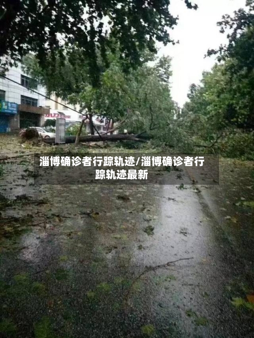 淄博确诊者行踪轨迹/淄博确诊者行踪轨迹最新