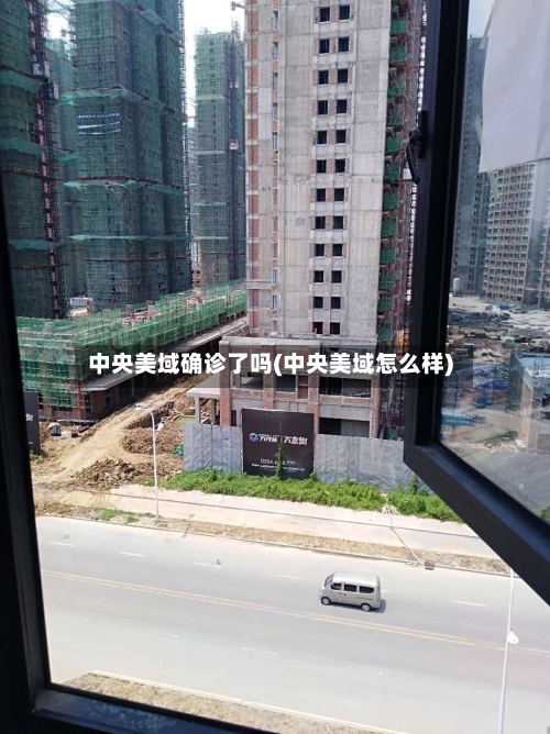 中央美域确诊了吗(中央美域怎么样)