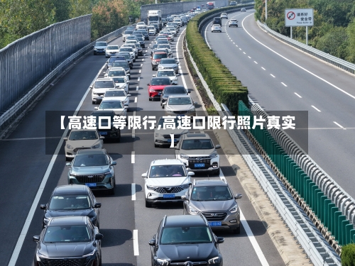 【高速口等限行,高速口限行照片真实】