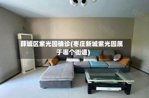 薛城区紫光园确诊(枣庄新城紫光园属于哪个街道)