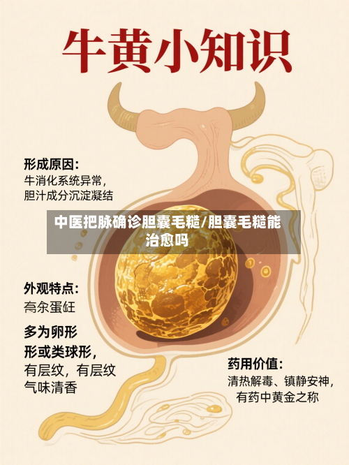 中医把脉确诊胆囊毛糙/胆囊毛糙能治愈吗