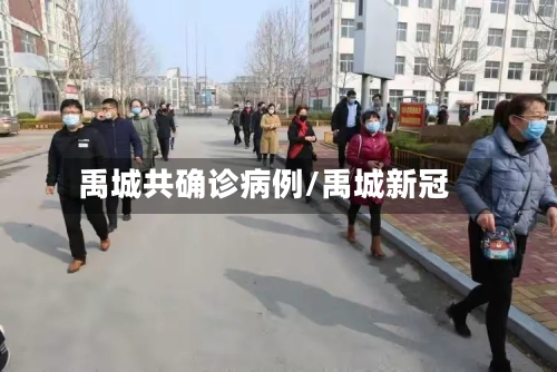 禹城共确诊病例/禹城新冠