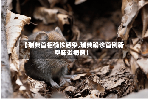 【瑞典首相确诊感染,瑞典确诊首例新型肺炎病例】