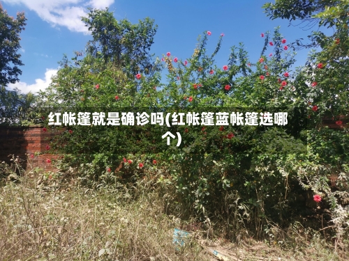红帐篷就是确诊吗(红帐篷蓝帐篷选哪个)