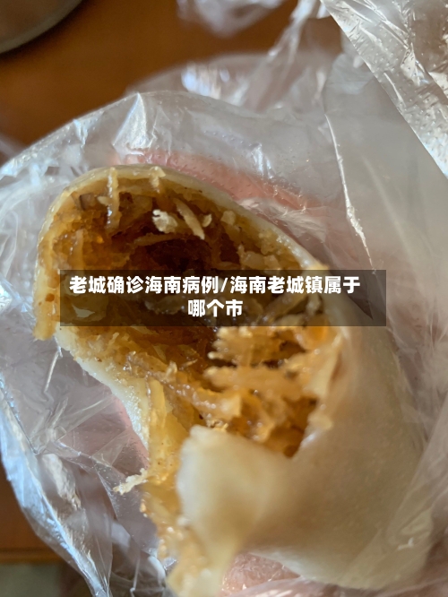 老城确诊海南病例/海南老城镇属于哪个市
