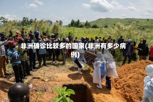 非洲确诊比较多的国家(非洲有多少病例)