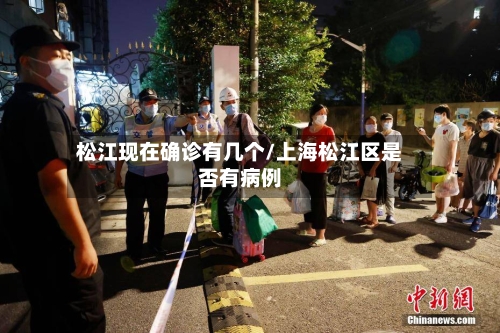 松江现在确诊有几个/上海松江区是否有病例