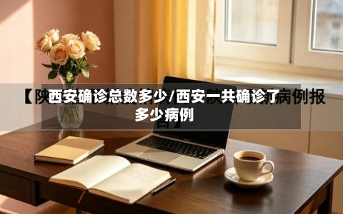 西安确诊总数多少/西安一共确诊了多少病例
