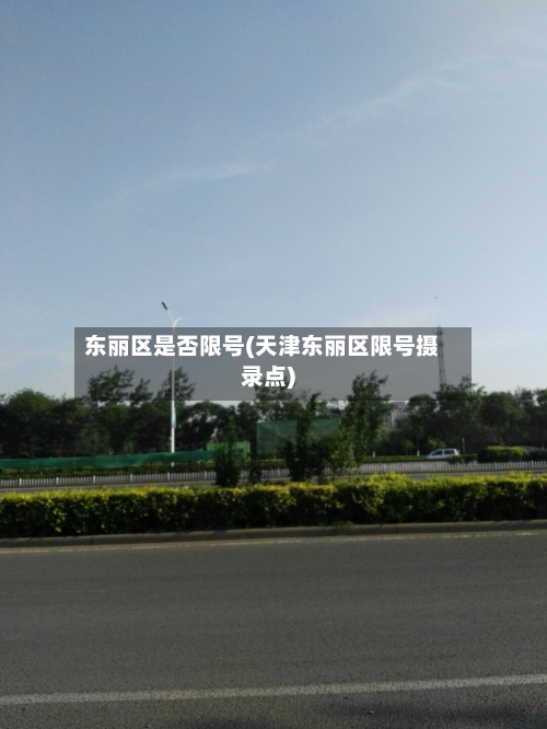东丽区是否限号(天津东丽区限号摄录点)