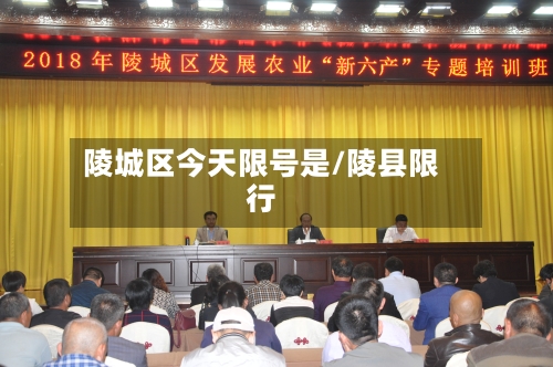 陵城区今天限号是/陵县限行