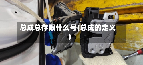 总成总存限什么号(总成的定义)