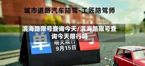 滨海路限号查询今天/滨海路限号查询今天限行吗