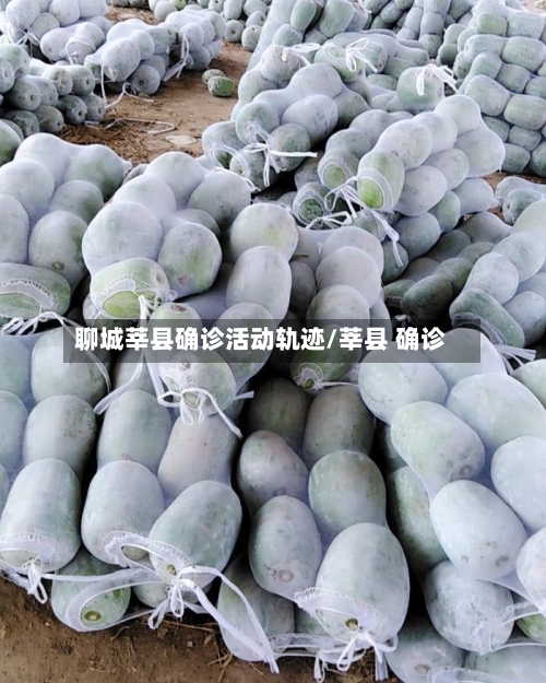 聊城莘县确诊活动轨迹/莘县 确诊