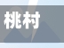 桃村确诊司机轨迹/桃村属于哪个省哪个市