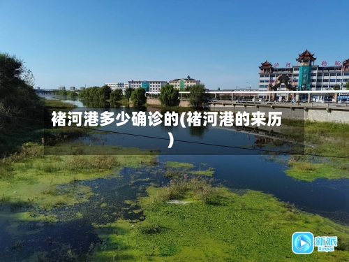褚河港多少确诊的(褚河港的来历)