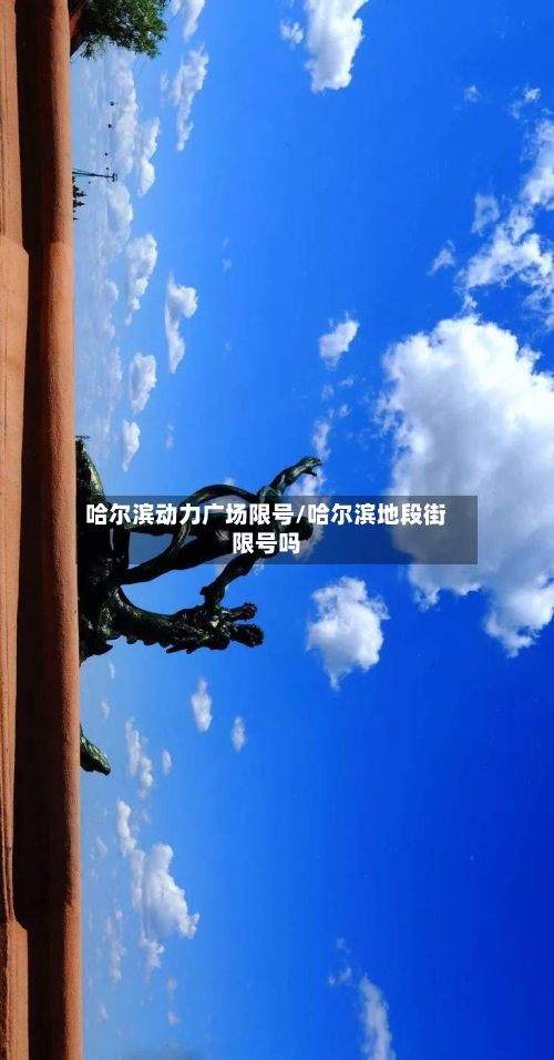 哈尔滨动力广场限号/哈尔滨地段街限号吗
