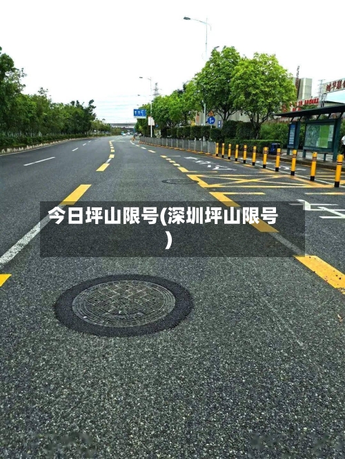 今日坪山限号(深圳坪山限号)